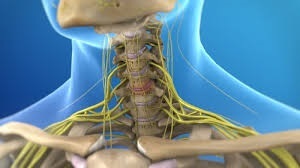 disease accompanying low back pain